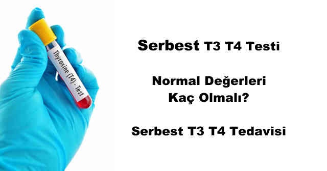 Serbest T3 T4 kaç olmalı nasıl düşürülür? T3 düşüklüğü ne anlama gelir tedavisi