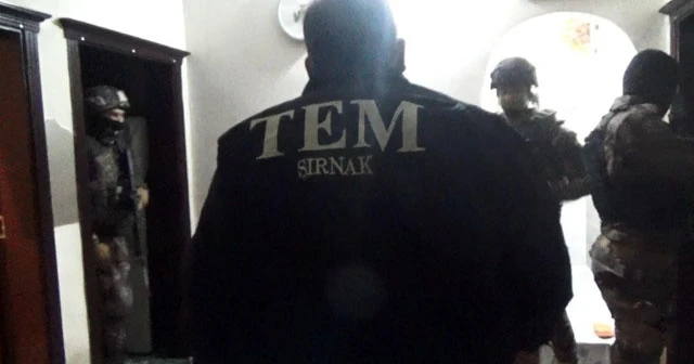 Şırnak’ta terör operasyonu: 50 gözaltı