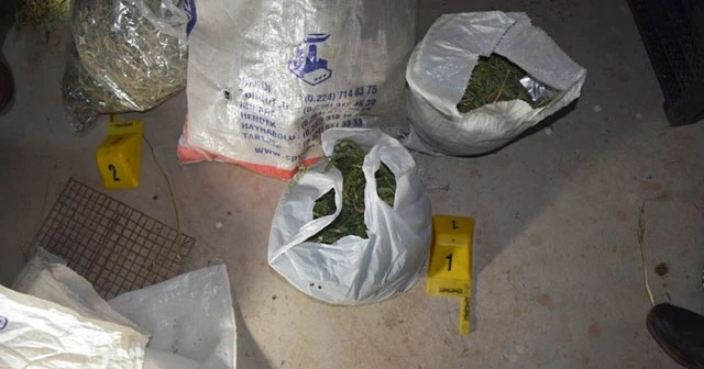 Sivas'ta 27 kilo Hint keneviri ele geçirildi