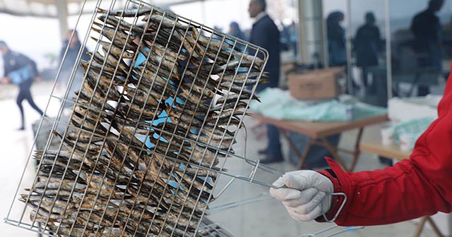 2 günde ayıklanan 1,5 ton hamsi 2 saatte tüketildi