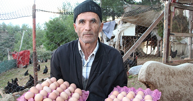 Asgari ücretle tavuk çiftliği kurdu, şimdi talebe yetişemiyor