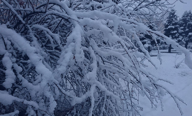 Dikkat! Meteoroloji&#039;den 5 il için soğuk ve kar uyarısı