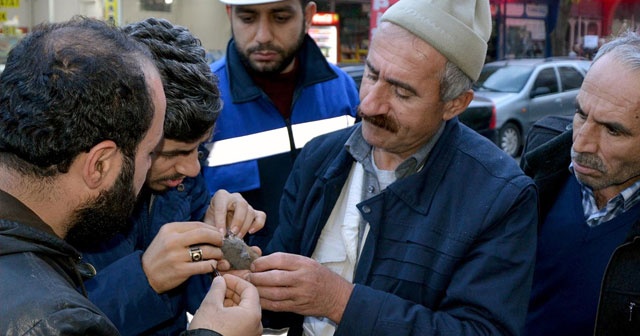 Elektrik direğine takılan kumruyu ekipler kurtardı