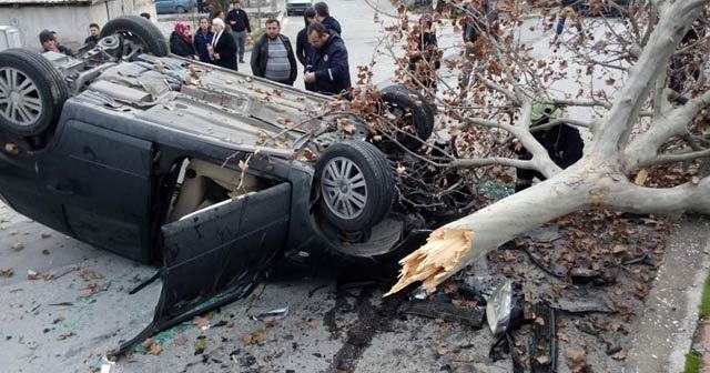 Kontrolden çıkan otomobil önce ağacı devirdi sonra takla attı