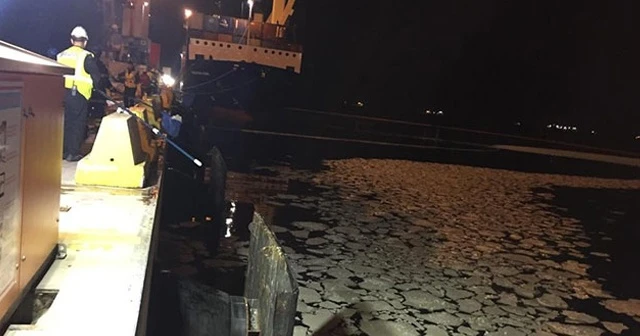 Körfez'e palm yağı sızdıran gemiye 422 bin TL ceza