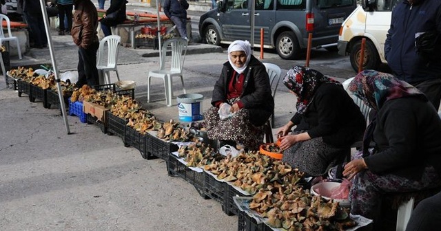 Mantar için hayati uyarı: Tüketmeyin