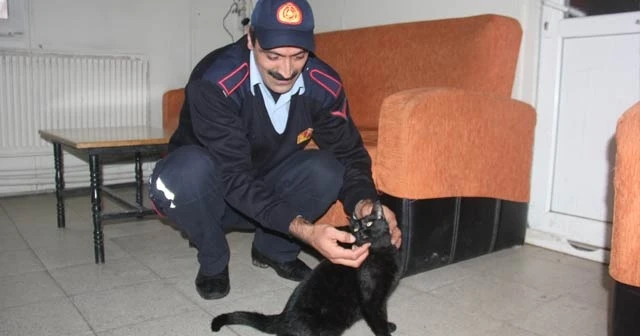 Motor arasından kurtarılmıştı, o kedi itfaiyenin maskotu oldu