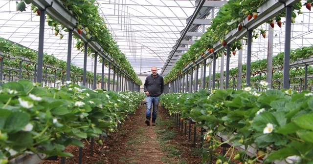 Serasından toprağı çıkardı, gelirini 5'e katladı