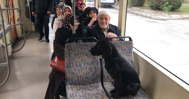 Üşüyünce tramvaya bindi!