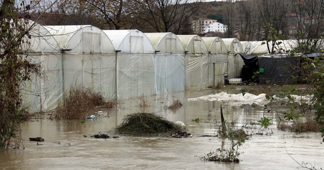 Yalova’da dere taştı, 50 sera sular altında kaldı