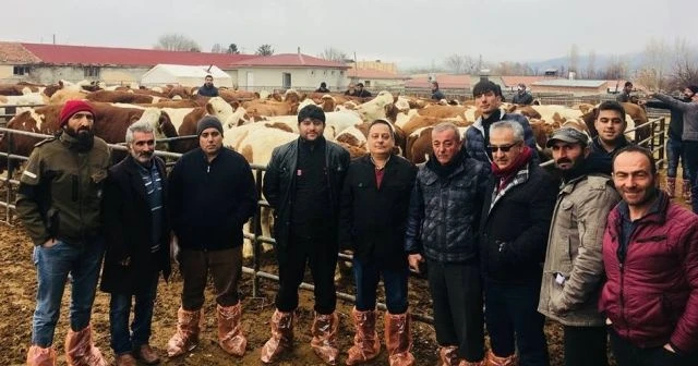 7 yılda 7000 Düve dağıtıldı