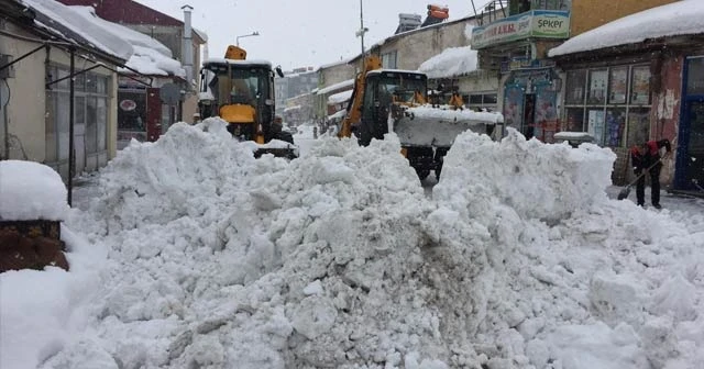 Bingöl’de karla kapanan 229 köy yolu ulaşıma açıldı