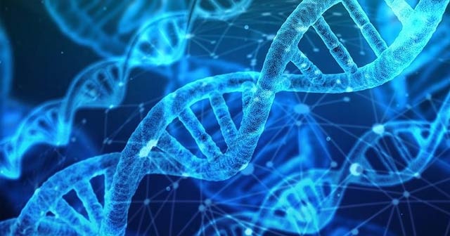 DNA yaşam süresi hakkında ipuçları veriyor