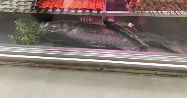 Kıyıdan oltayla 90 santimetrelik levrek yakaladı