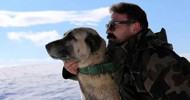 Ömrünü Kangal köpeği yetiştiriciliğine adadı
