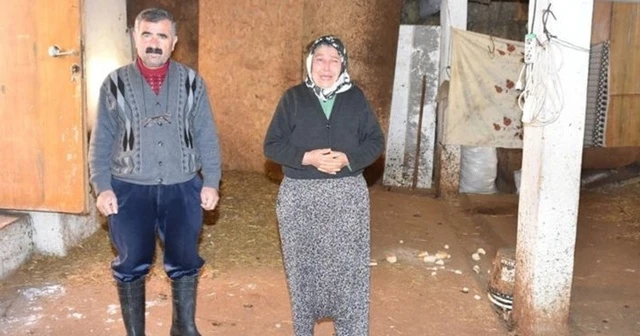 Şehit annesinin gözyaşları, 'Hiç vicdan kalmamış bunlarda'