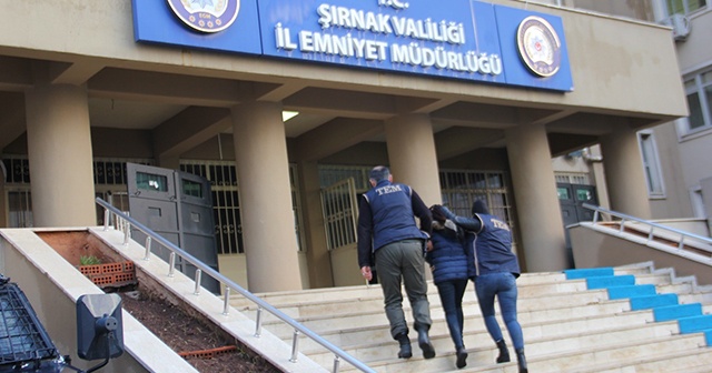 Şırnak’ta PKK/KCK&#039;nın kadın yapılanmasına operasyon: 22 gözaltı