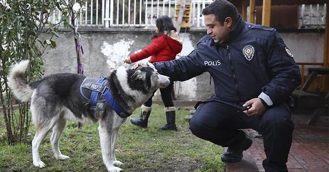 Sokak hayvanlarına sahip çıkan karakol