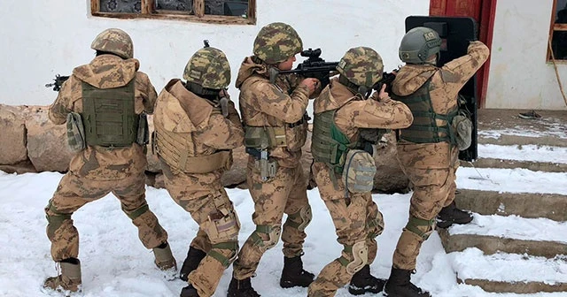 Van'da terör operasyonu: 20 gözaltı