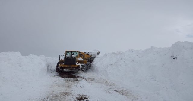 Bingöl’de kar nedeniyle kapanan 243 köy yolu açıldı