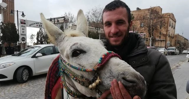Eşeğe yüzlerce kiloluk yük taşıtmıştı, özür diledi