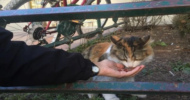 Eskişehirliler sokak hayvanlarını unutmuyor