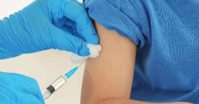 Hindistan'da, domuz gribi nedeniyle hayatını kaybedenlerin sayısı 226'ya çıktı