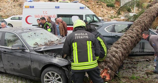 Otomobilin devirdiği ağaç başka bir otomobili hurdaya çevirdi