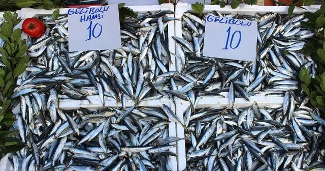 Sardalya ucuzlayınca hamsi gölgede kaldı