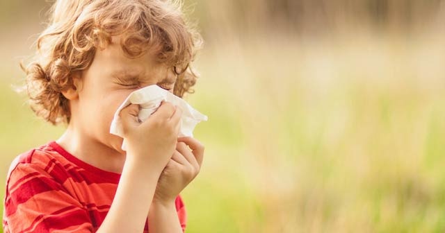 Alerjisi olanları sevindiren haber! Meteoroloji &quot;polen&quot; tahmininde de bulunacak