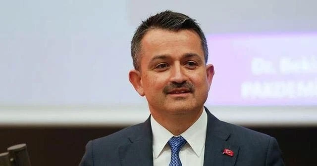 Bakan Pakdemirli açıkladı: Yüzde 30 daha fazla ödeme yapacağız
