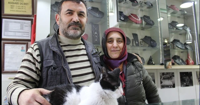 Bu iş yeri kedilere emanet