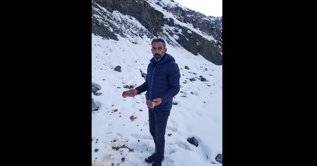 Esnaftan yaban hayvanları için et topladı, doğaya bıraktı