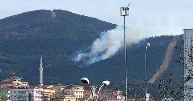 İstanbul&#039;da orman yangını