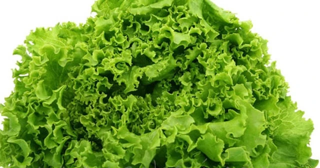 İstanbul'da zam şampiyonu kıvırcık salata oldu