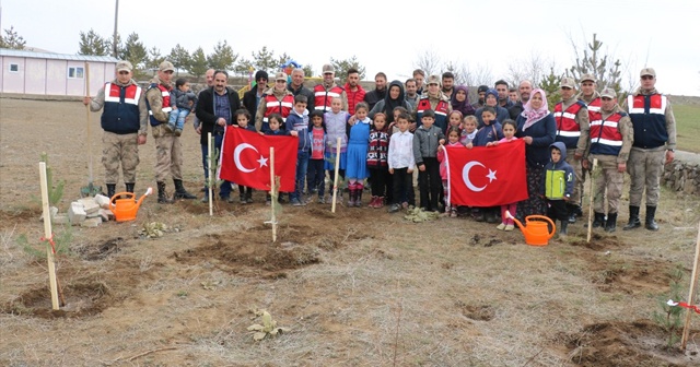 Jandarma abladan dergi, jandarma abiden fidan