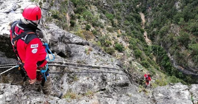 Kayalıklarda mahsur kalan keçiler AKUT ekiplerince kurtarıldı