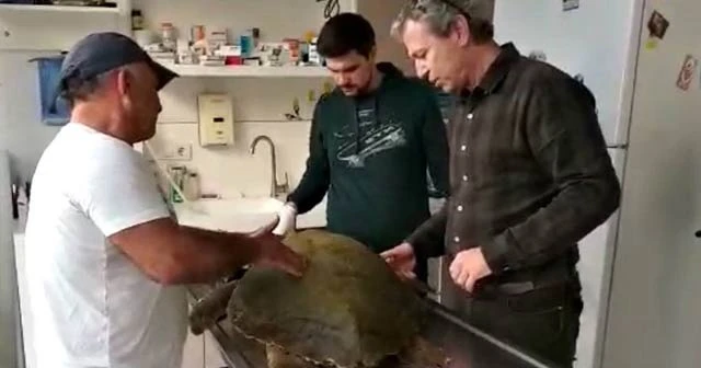 Kuşadası’nda olta iğnesi yutan caretta caretta kurtarılamadı