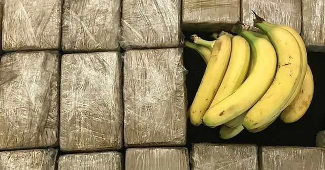 Muz konteynerinde 185 kilogram kokain ele geçirildi