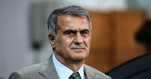 Şenol Güneş, Arnavutluk ve Moldova maçlarında A Milli Takım&#039;ın başında