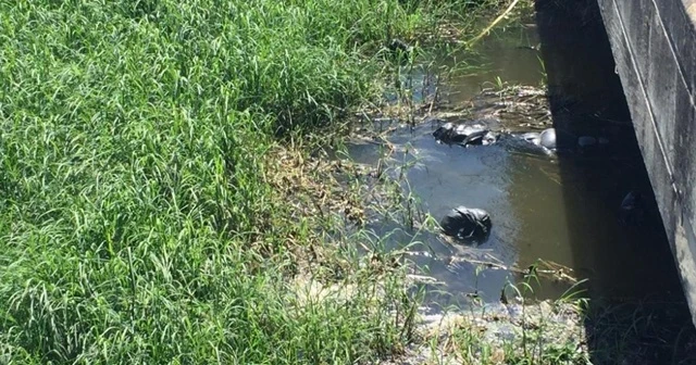 Siyah poşetler içinde 19 ceset bulundu