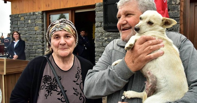 10 bine yakın kedi-köpek koruma altına alındı