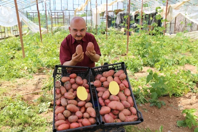 Annesi için ekti, fiyatı ve ilgiyi görünce üretime yöneldi