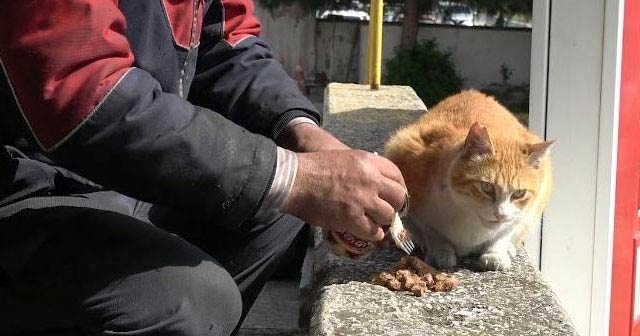 Atatürk Havalimanı’nda hayvanlar da taşınıyor