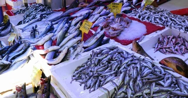 Balıkçılar sezondan memnun