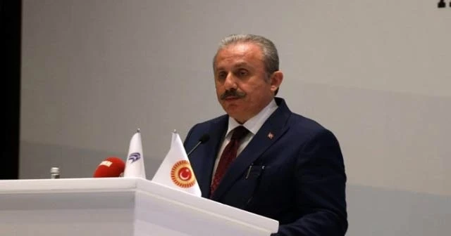 Başkan Şentop: 'Fransız parlamenterin şovu'