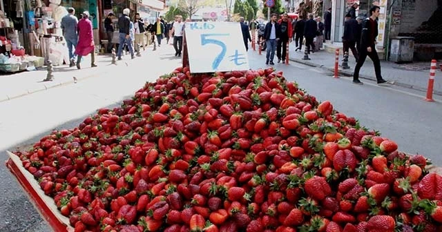 Çilek satışları patladı: Kilosu 5 TL'ye kadar düştü