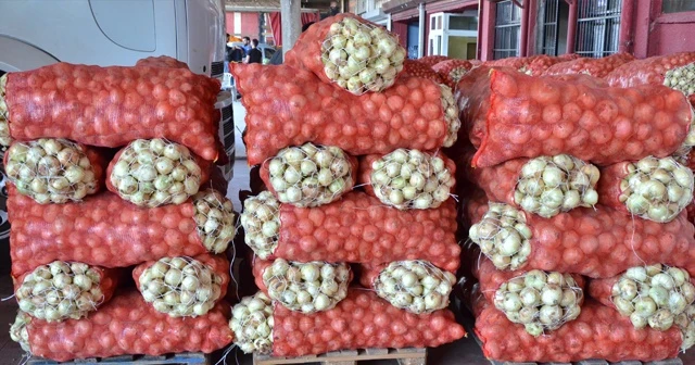 Fiyatı cep yakıyordu...Tarlada soğanın fiyatı 75 kuruşa kadar düştü!