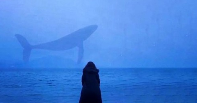 İki genç kızın intihar girişiminde &#039;mavi balina&#039; iddiası
