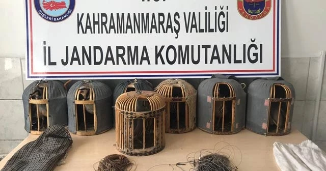 Kaçak avladıkları kekliklerle yakalandılar